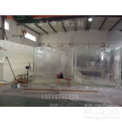 【番禺亞克力魚缸安裝 廠家定做】- 