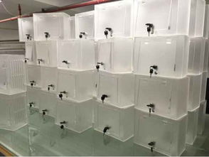 東莞市虎門聚力工藝制品廠